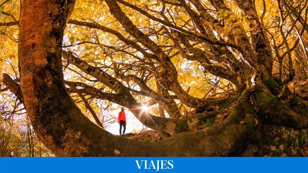 Fotos: Los 10 mejores parajes naturales de España para disfrutar del senderismo