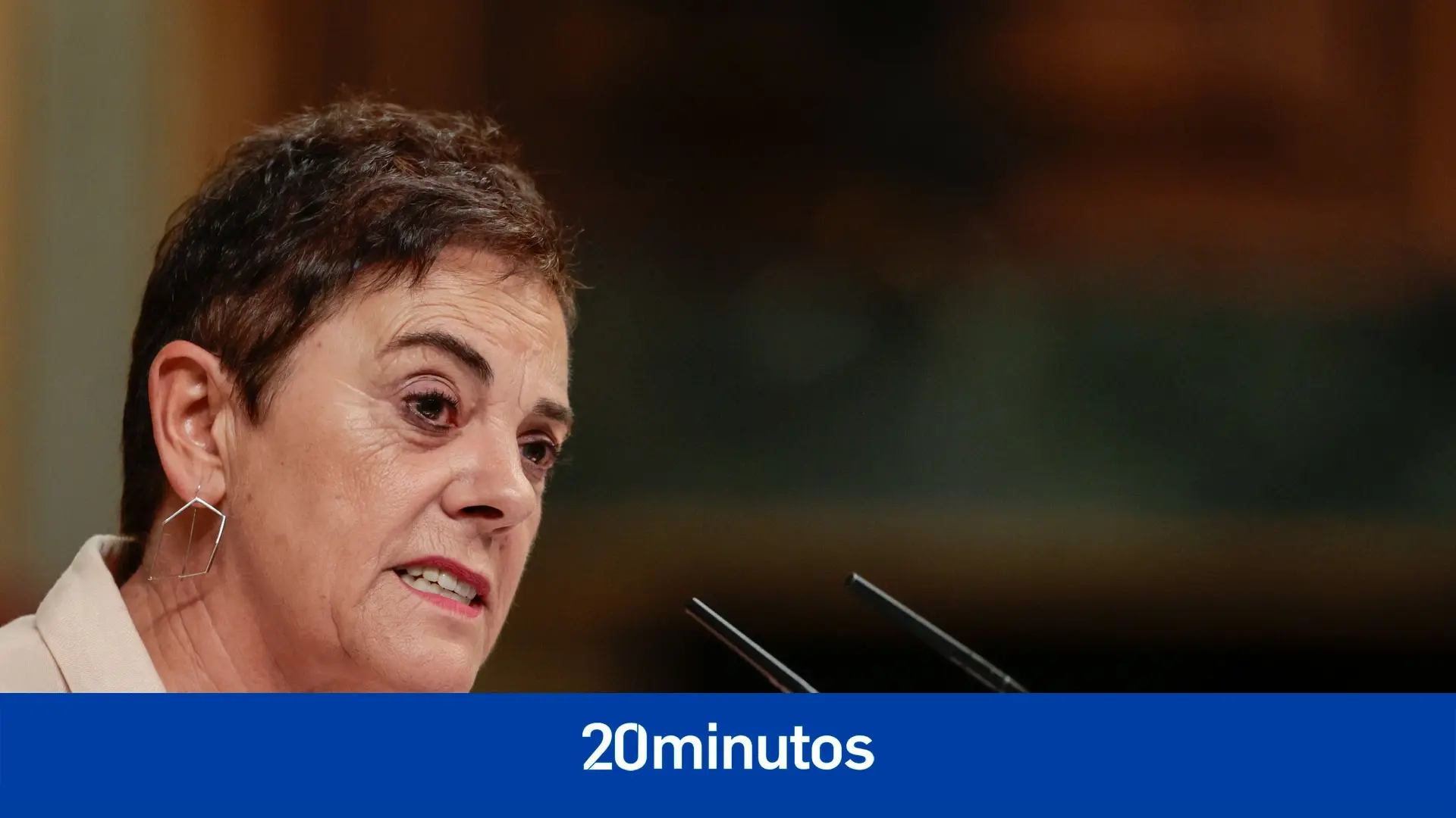 Mertxe Aizpurua, la biógrafa de terroristas que sigue sin condenar los crímenes de ETA