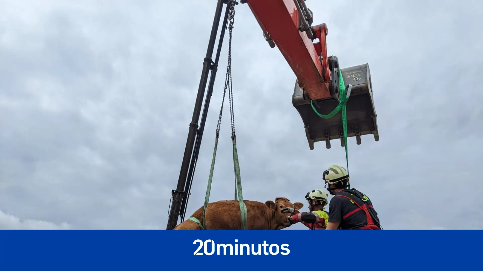 Rescatan en buen estado a dos vacas que cayeron sobre un tejado en un pueblo de Cantabria