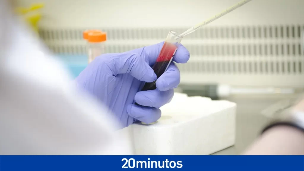 Un estudio revela cómo los anticuerpos frenan un virus humano que causa inflamación grave del corazón