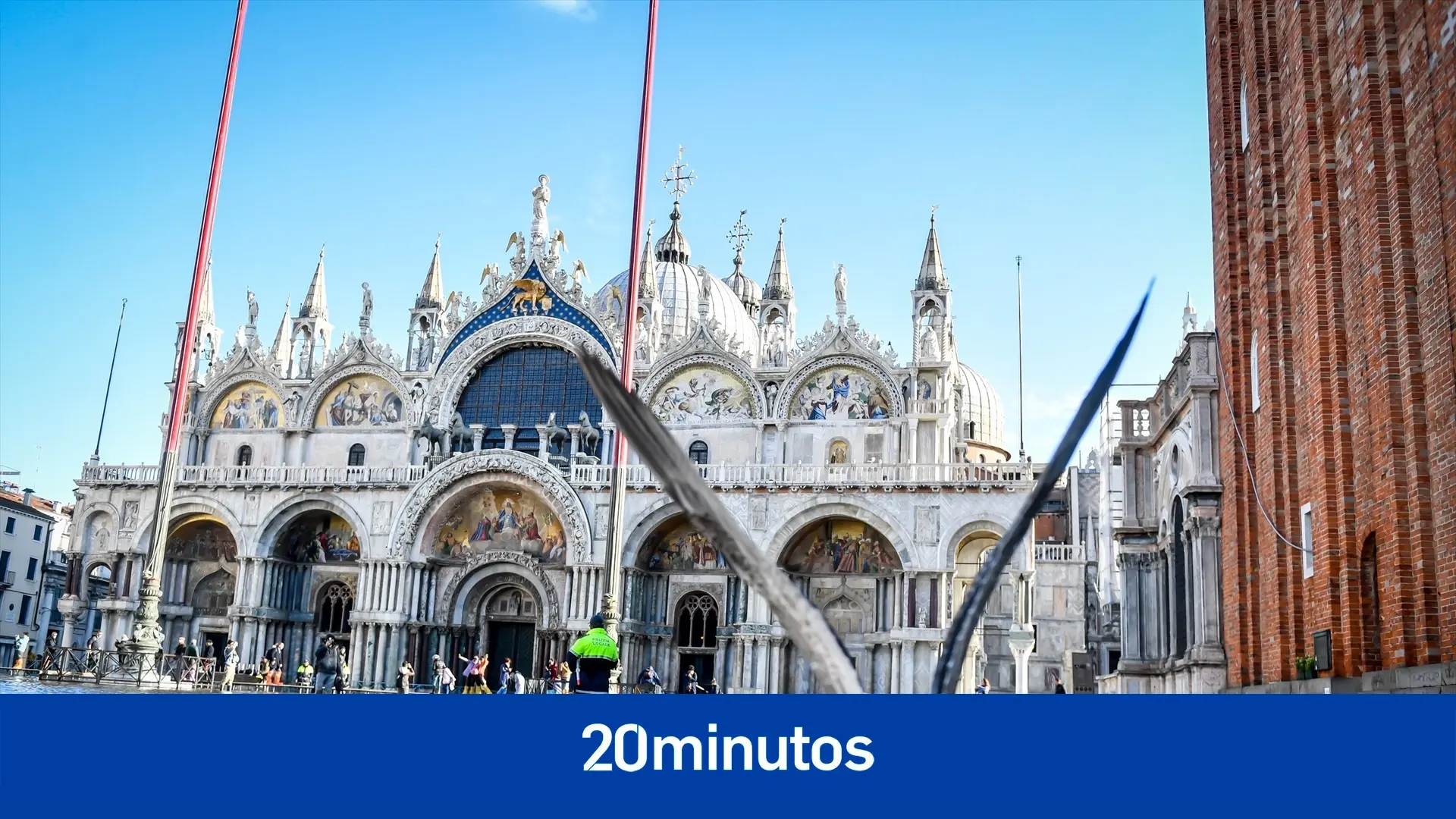 Una bandada de gaviotas obliga a cerrar el aeropuerto de Venecia durante una hora