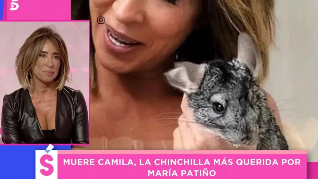 ‘Socialité’ se vuelca con María Patiño, muy triste, tras la muerte de su chinchilla: «Gracias por entenderme»